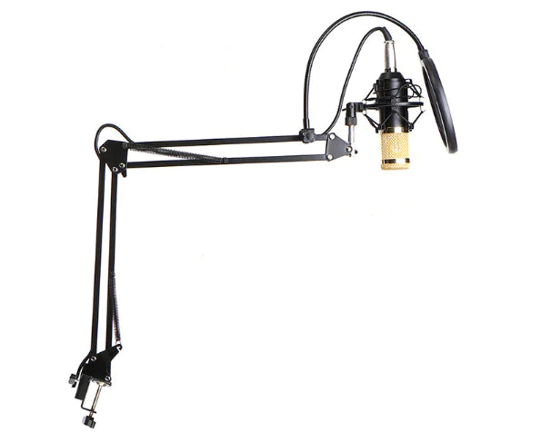 Microphone Karaoke Condenser Mic Kit